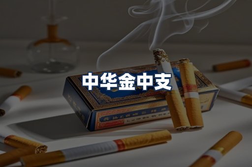 中华金中支